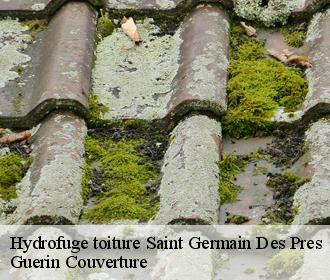Hydrofuge toiture saint-germain-des-pres-45220 Guerin Couverture