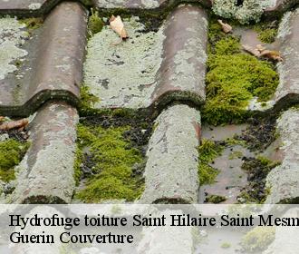 Hydrofuge toiture saint-hilaire-saint-mesmin-45160 Guerin Couverture