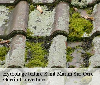 Hydrofuge toiture saint-martin-sur-ocre-45500 Guerin Couverture