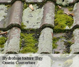 Hydrofuge toiture tigy-45510 Guerin Couverture