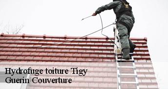 Hydrofuge toiture 45510