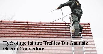 Hydrofuge toiture 45490