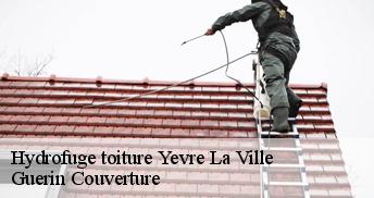 Hydrofuge toiture 45300