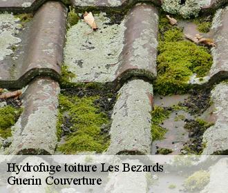Hydrofuge toiture les-bezards-45290 Guerin Couverture