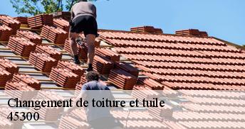 Changement de toiture et tuile 45300