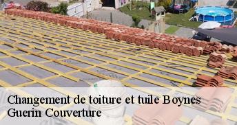 Changement de toiture et tuile 45300