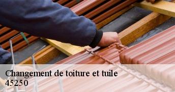 Changement de toiture et tuile  45250