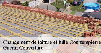 Changement de toiture et tuile 45490