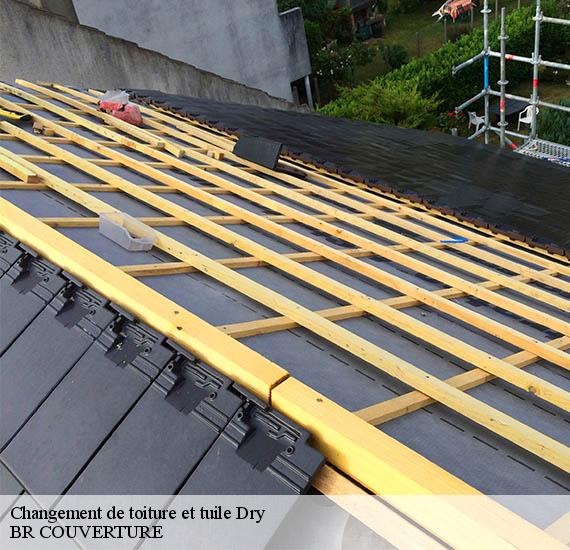 Changement de toiture et tuile  dry-45370 BR COUVERTURE