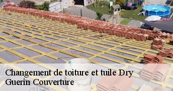 Changement de toiture et tuile 45370