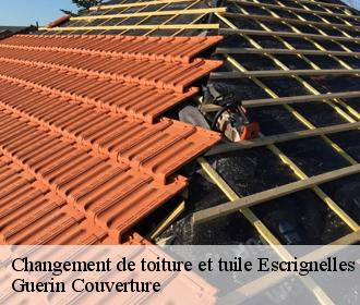 Changement de toiture et tuile escrignelles-45250 Guerin Couverture