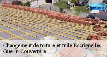 Changement de toiture et tuile 45250