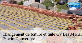 Changement de toiture et tuile 45220