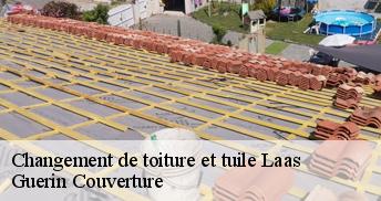 Changement de toiture et tuile 45300