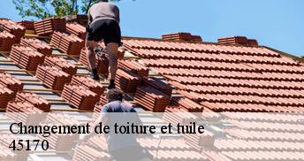 Changement de toiture et tuile 45170