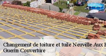 Changement de toiture et tuile 45170