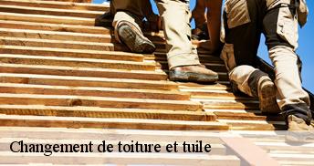 Changement de toiture et tuile 45170