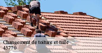 Changement de toiture et tuile 45770