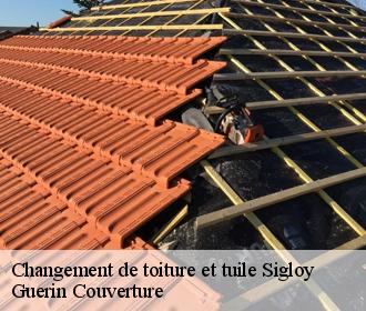 Changement de toiture et tuile sigloy-45110 Guerin Couverture