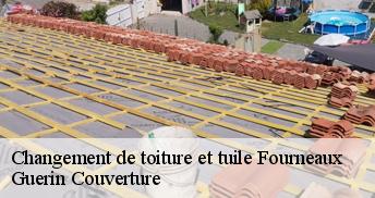 Changement de toiture et tuile 45380