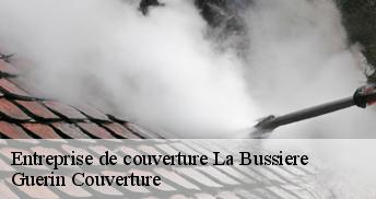 Entreprise de couverture 45230