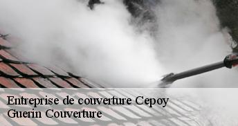 Entreprise de couverture 45120