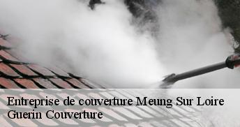 Entreprise de couverture 45130
