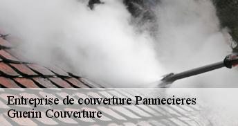 Entreprise de couverture 45300