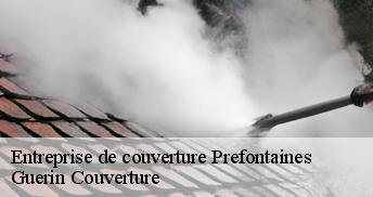 Entreprise de couverture  45490