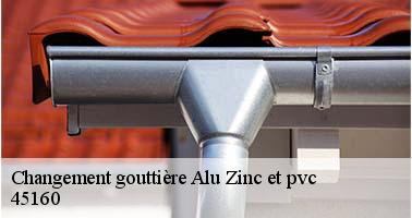 Changement gouttière Alu Zinc et pvc  45160