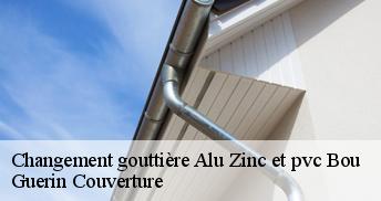 Changement gouttière Alu Zinc et pvc 45430