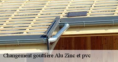 Changement gouttière Alu Zinc et pvc  45410