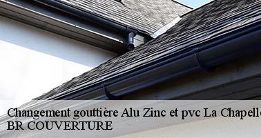 Changement gouttière Alu Zinc et pvc  45380