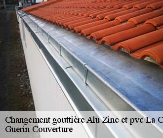 Changement gouttière Alu Zinc et pvc la-cour-marigny-45260 Guerin Couverture