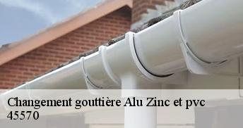 Changement gouttière Alu Zinc et pvc  45570