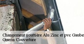 Changement gouttière Alu Zinc et pvc