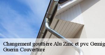 Changement gouttière Alu Zinc et pvc  45310