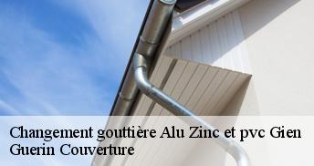 Changement gouttière Alu Zinc et pvc 45500