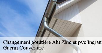 Changement gouttière Alu Zinc et pvc 45450