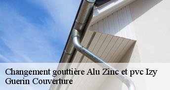 Changement gouttière Alu Zinc et pvc 45480