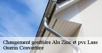 Changement gouttière Alu Zinc et pvc 45300
