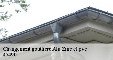 Changement gouttière Alu Zinc et pvc  45490