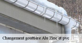 Changement gouttière Alu Zinc et pvc