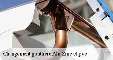 Changement gouttière Alu Zinc et pvc