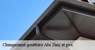 Changement gouttière Alu Zinc et pvc