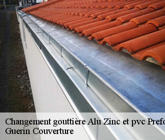 Changement gouttière Alu Zinc et pvc prefontaines-45490 Guerin Couverture