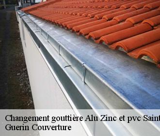 Changement gouttière Alu Zinc et pvc saint-aignan-le-jaillard-45600 Guerin Couverture