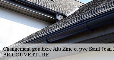 Changement gouttière Alu Zinc et pvc  45650