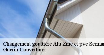 Changement gouttière Alu Zinc et pvc 45300