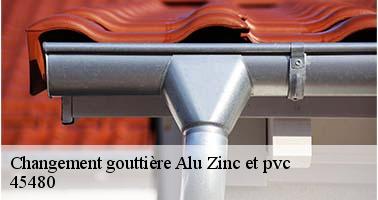 Changement gouttière Alu Zinc et pvc  45480